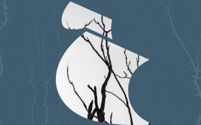 Trabajos deseables y autogestionados para todas las personas